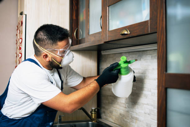 Best Rat Extermination Near Me  in Ripon, WI