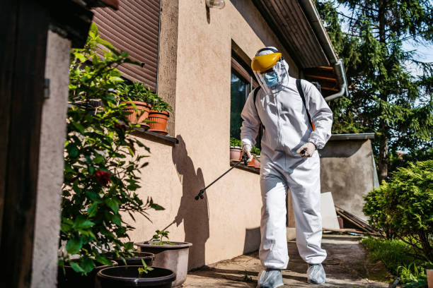 Best Pest Control Near Me in Ripon, WI