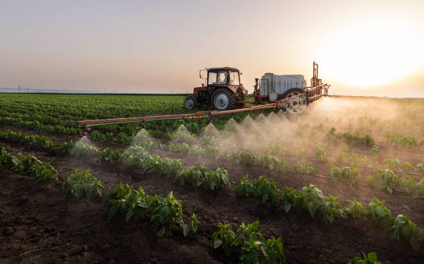 Best Pest Prevention Services  in Ripon, WI