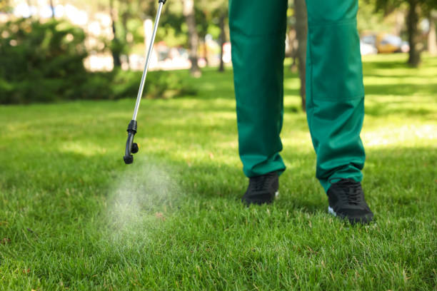 Best Wasp Removal Services  in Ripon, WI