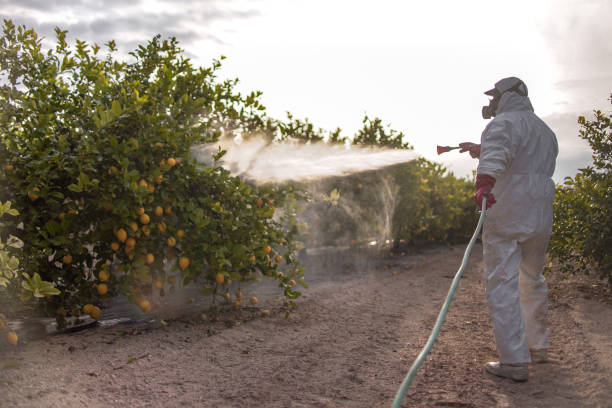 Best Exterminator Services  in Ripon, WI