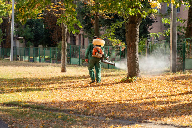 Professional Pest Control in Ripon, WI