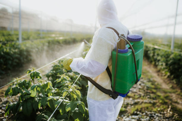 Best Affordable Pest Control Services  in Ripon, WI